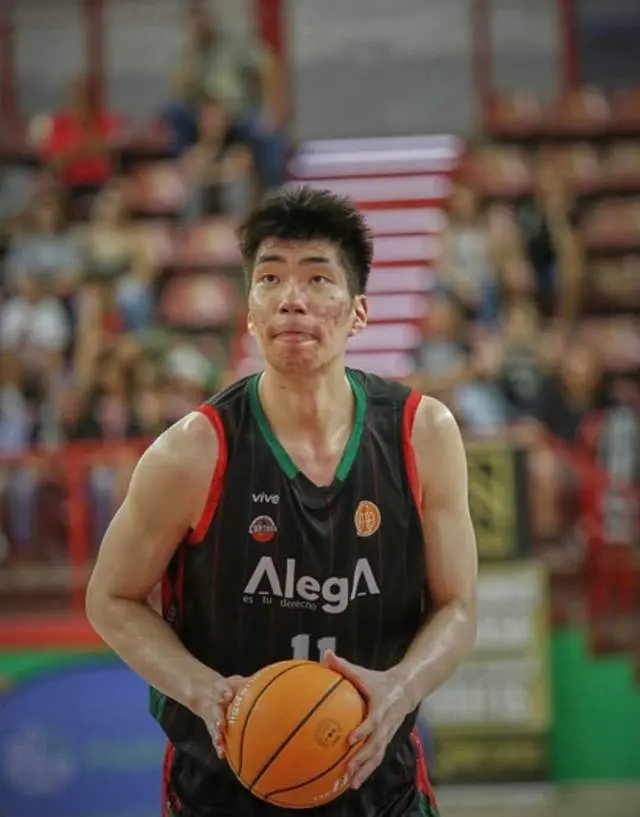 数职业联赛, 然后加盟西